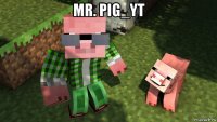 mr. pig_yt 