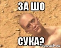 за шо сука?
