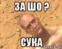 за шо ? сука