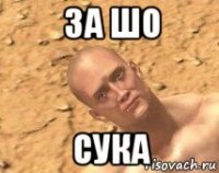 за шо сука