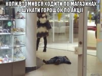 коли втомився ходити по магазинах і шукати горошок по акції 