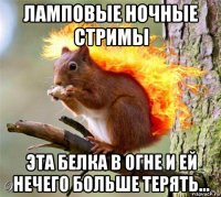ламповые ночные стримы эта белка в огне и ей нечего больше терять...