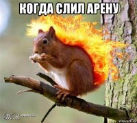 когда слил арену 