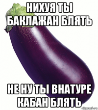 нихуя ты баклажан блять не ну ты внатуре кабан блять