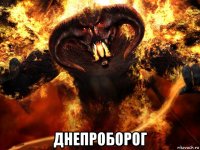  днепроборог
