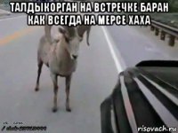 талдыкорган на встречке баран как всегда на мерсе хаха 