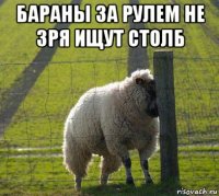 бараны за рулем не зря ищут столб 