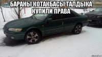 бараны котакбасы талдыка купили права 