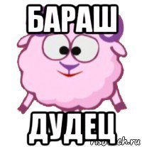бараш дудец