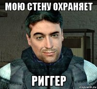 мою стену охраняет риггер