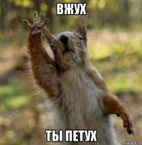 вжух ты петух
