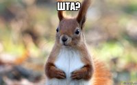 шта? 