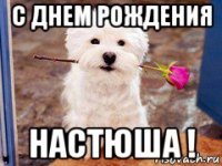 с днем рождения настюша !