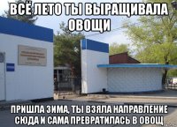 всё лето ты выращивала овощи пришла зима, ты взяла направление сюда и сама превратилась в овощ