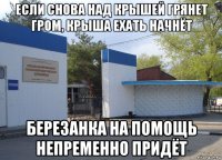 если снова над крышей грянет гром, крыша ехать начнёт березанка на помощь непременно придёт