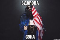 здарова сука