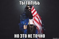 ты голубь но это не точно