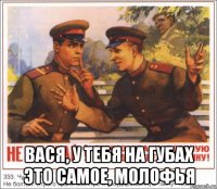  вася, у тебя на губах это самое, молофья