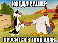 когда рашер просится в твой клан