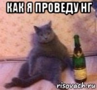 как я проведу нг 