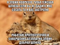 я элвин новрузов тупая гейская шлюха если вы не дадите мне сосать то я вас застрелю работаю круглосуточно и совершенно безплатно элвин добрая шлюха
