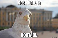 себя блядь поставь