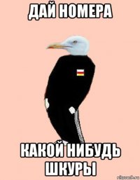 дай номера какой нибудь шкуры