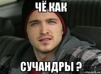 чё как сучандры ?