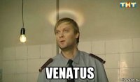  venatus