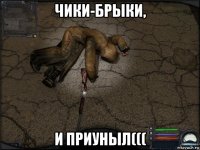 чики-брыки, и приуныл(((