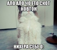 ало ало чо ето скот ковтон нихера себе 0: