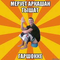 мерует аркашан тышат гаршокке