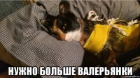  нужно больше валерьянки