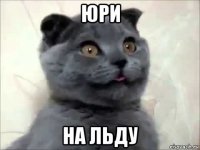 юри на льду