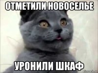 отметили новоселье уронили шкаф