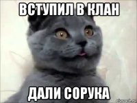 вступил в клан дали сорука