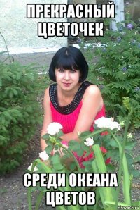 прекрасный цветочек среди океана цветов