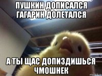 пушкин дописался гагарин долетался а ты щас допиздишься чмошнек