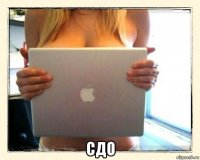  сдо