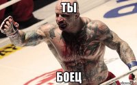 ты боец