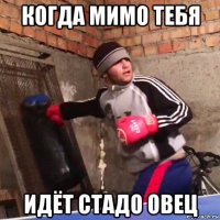 когда мимо тебя идёт стадо овец