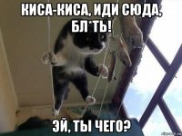 киса-киса, иди сюда, бл*ть! эй, ты чего?