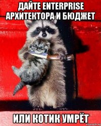 дайте enterprise архитектора и бюджет или котик умрёт