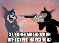  это пневматика или огнестрел нарезной?