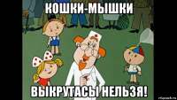 кошки-мышки выкрутасы нельзя!