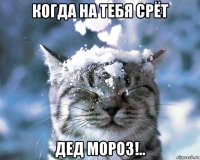 когда на тебя срёт дед мороз!..