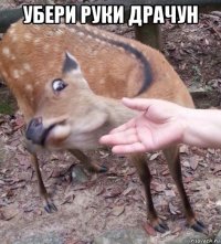 убери руки драчун 