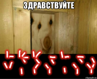 здравствуйте 