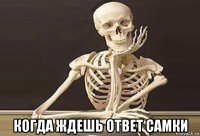  когда ждешь ответ самки