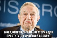  жора, открой сеть лабораторий для проституток. яхве твой одобрит
